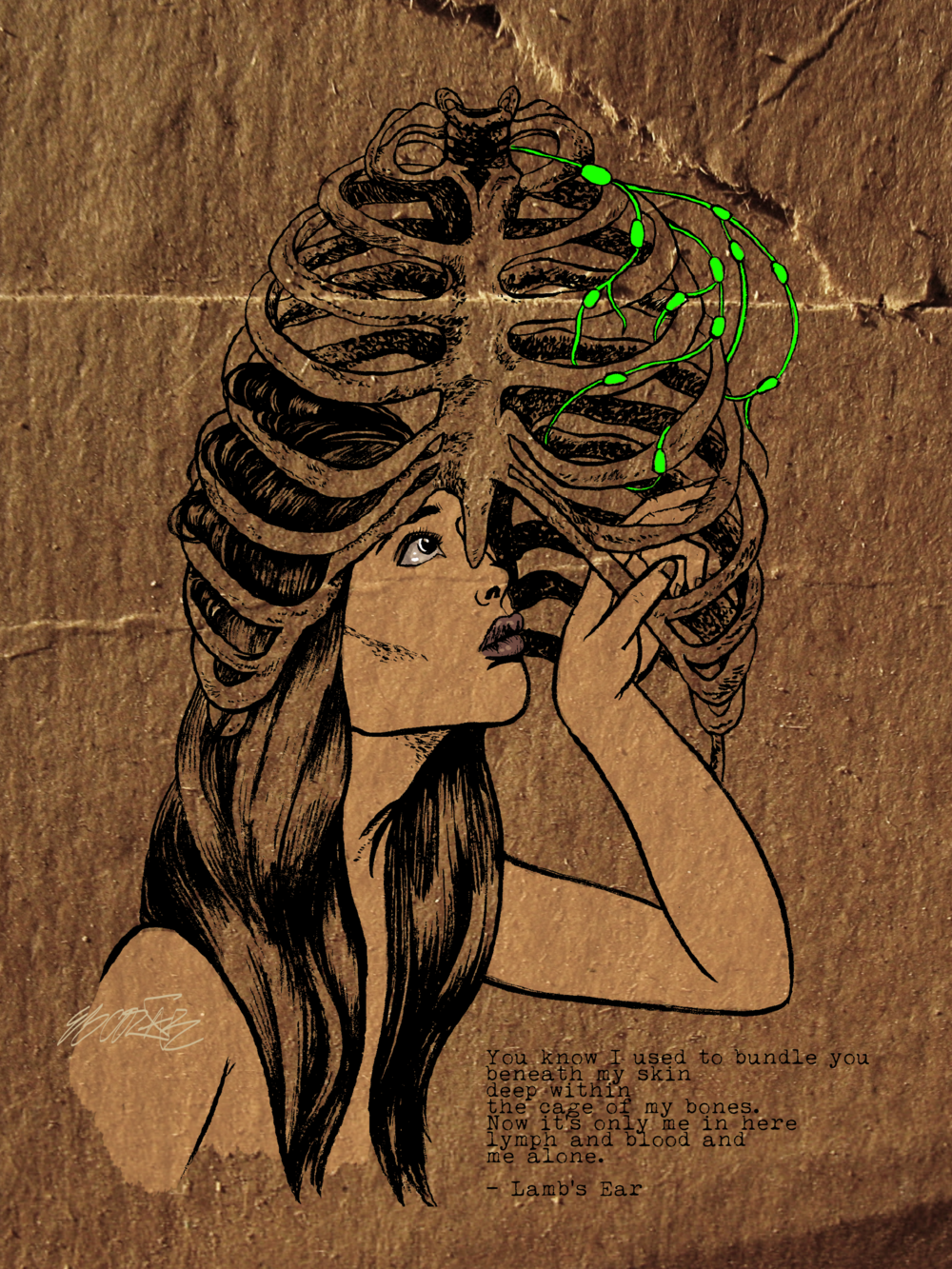 lymphandblood_meredith.png